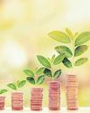 Should I rebalance my portfolio?33