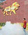 China’s free-trade island a signal of big change20