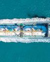 Energy security calls for robust central planning38
