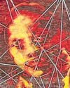 Inside Nalini Malani's thought chamber12