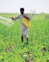 Fertilizer subsidy may jump 20% as war spikes prices Fertilizer subsidy may jump 20% as war spikes prices10
