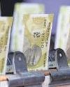Centre cites record dividends urging MFs to back PSUs Centre cites record dividends urging MFs to back PSUs