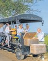 On a white wine sipping trip in sunny Burgundy On a white wine sipping trip in sunny Burgundy