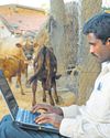 Satellite internet firms may see fee cut for remote areas Satellite internet firms may see fee cut for remote areas20