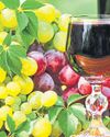 Rains sour Maharashtra’s grape harvest, hit wineries Rains sour Maharashtra’s grape harvest, hit wineries7