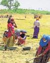 Govt aims to roll out revamped rural jobs scheme from April7