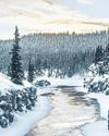 Chasing Northern Lights in chilly Yukon56