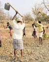 The budget lacks the coherence needed to address key problems46