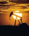 India will maintain multiple, diverse energy sources: Foreign secy20