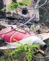 SC seeks Air India crash probe report from Centre4