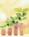 Plum Insurance gets $20 mn, Incubate opts for partial exit10