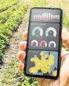 Bengal to join Digital Agriculture Mission soon Bengal to join Digital Agriculture Mission soon6
