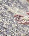 Status quo on critical minerals, but race won't ease for India Status quo on critical minerals, but race won't ease for India