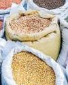 India faces WTO scrutiny over import curbs, quality control28