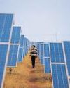 In self-reliance push, Avaada eyes solar value chain in India Mint Kolkata