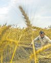 Tech troubles derail mandi operations Tech troubles derail mandi operations10