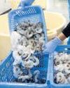 Shrimp exporters eye value-addition, expand offerings Shrimp exporters eye value-addition, expand offerings8