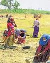 Govt aims to roll out revamped rural jobs scheme from April Govt aims to roll out revamped rural jobs scheme from April6