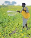 Floods, low crop prices leave Indian farmers under stress28