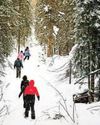 Budget may pitch adventure tourism as revenue booster35