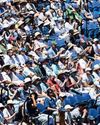 An Australian summer of flies, sweat and sport0