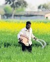 WHY INDIA’S SOIL IS GASPING FOR AIR36