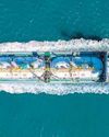 Energy security calls for robust central planning31