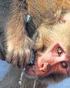 UN annual report says planet trapped record heat in 202528
