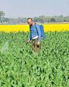 THE UREA TRAP: TIME FOR BOLD REFORMS?30