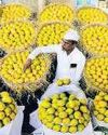 Reefer shortage may hit mango exports Reefer shortage may hit mango exports3