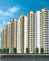 Mint Kolkata