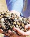 India, US sign framework on critical minerals21