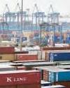 Five firms seek govt nod for export hubs