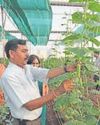 Govt's agri-preneur scheme receives lukewarm response