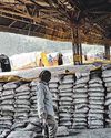 Cement price pain not over yet