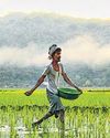 Fertilizer subsidy likely to stay at current level in FY26