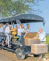 On a white wine sipping trip in sunny Burgundy On a white wine sipping trip in sunny Burgundy