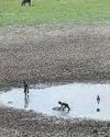 Railways to dig ponds along tracks to conserve water Railways to dig ponds along tracks to conserve water