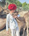 In Camel Country, A Vanishing Act In Camel Country, A Vanishing Act
