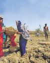 Demand for work under rural job scheme hits 4-month low Demand for work under rural job scheme hits 4-month low