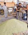 Edible oil prices to hold firm in FY26: AWL Edible oil prices to hold firm in FY26: AWL