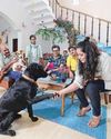 Rise of pet parents sparks scramble for fundraising Rise of pet parents sparks scramble for fundraising