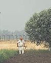 Indo-Pak tensions spark worry over kharif sowing in border areas Indo-Pak tensions spark worry over kharif sowing in border areas