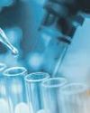 Novopor eyes US expansion after key acquisition Novopor eyes US expansion after key acquisition