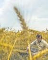 Western changes may adversely affect food security, crop productivity Western changes may adversely affect food security, crop productivity