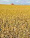 China Is Building Megaports in South American Countries to Feed Its Need for Crops China Is Building Megaports in South American Countries to Feed Its Need for Crops