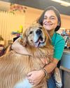 A Pet-Friendly Office Isn't Everyone's Dream A Pet-Friendly Office Isn't Everyone's Dream45