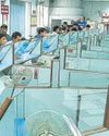 Special teams to recover high-value bad loans of PSBs Special teams to recover high-value bad loans of PSBs8