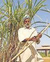 Sugar Mills Switch to Grains to Boost Ethanol Output38