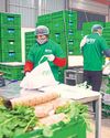 How 10-Min Delivery Crashed Otipy's Dream Mint Mumbai